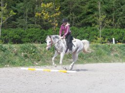 IMG_0506_web